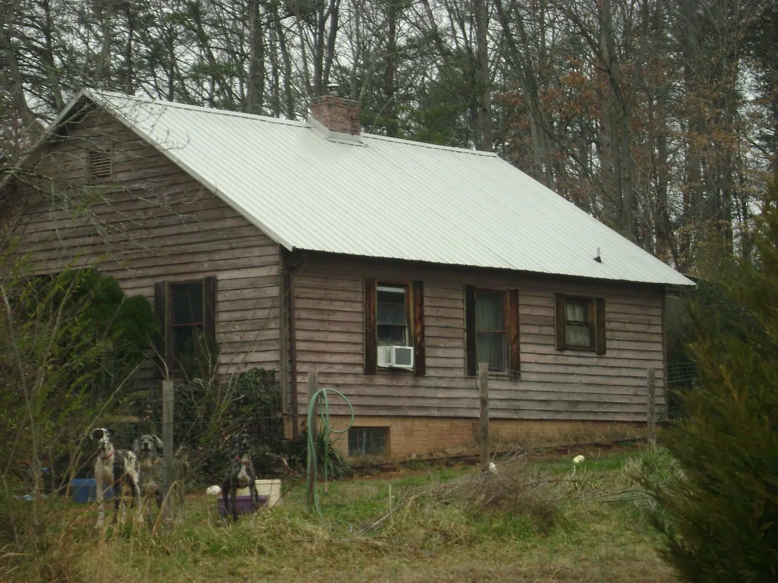 White metal roof on an old wood sided farmhouse, from a Asphalt Shingle Roof Repair job in Browntown